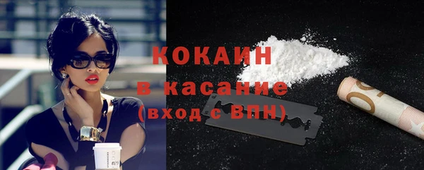 амф Ладушкин