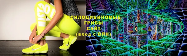амф Ладушкин