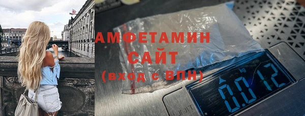амф Ладушкин