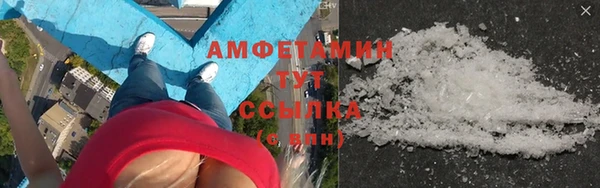 амф Ладушкин