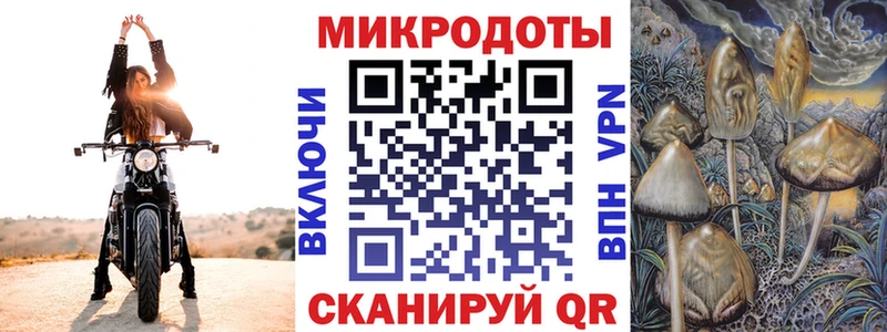 Галлюциногенные грибы Cubensis  Купить закладки  Алупка 